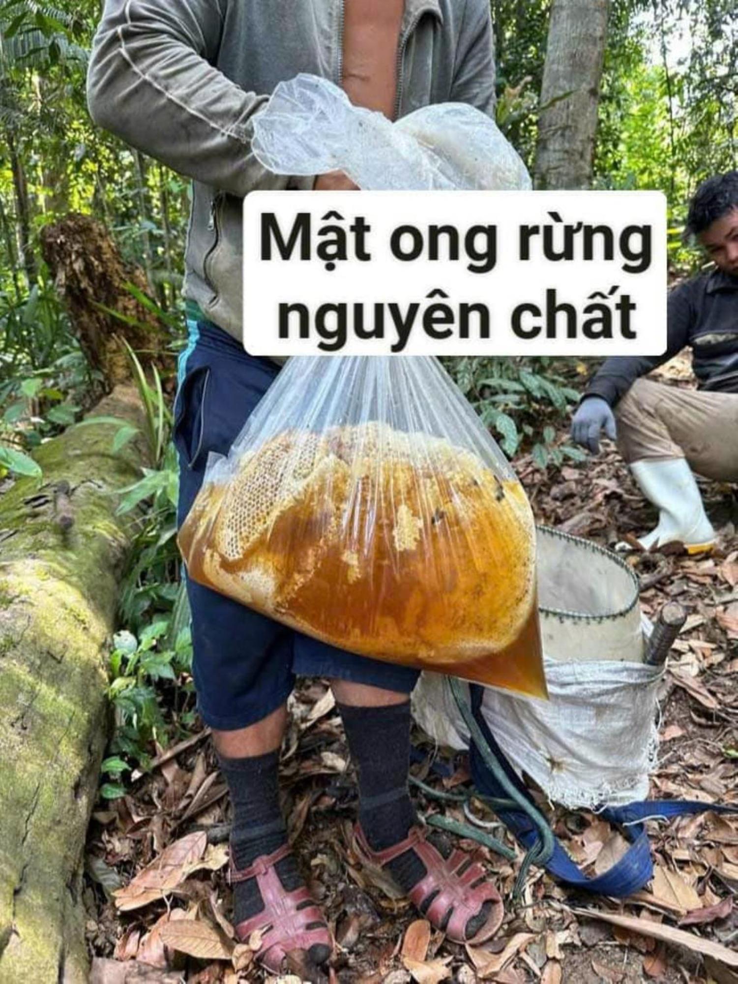 Homestay Ho Son - Thac Anor A Luoi エクステリア 写真