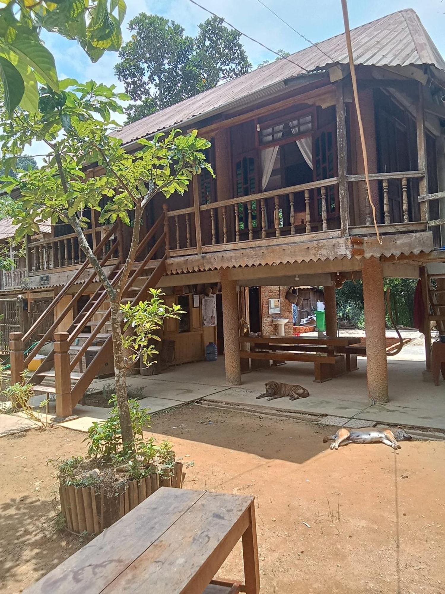 Homestay Ho Son - Thac Anor A Luoi エクステリア 写真