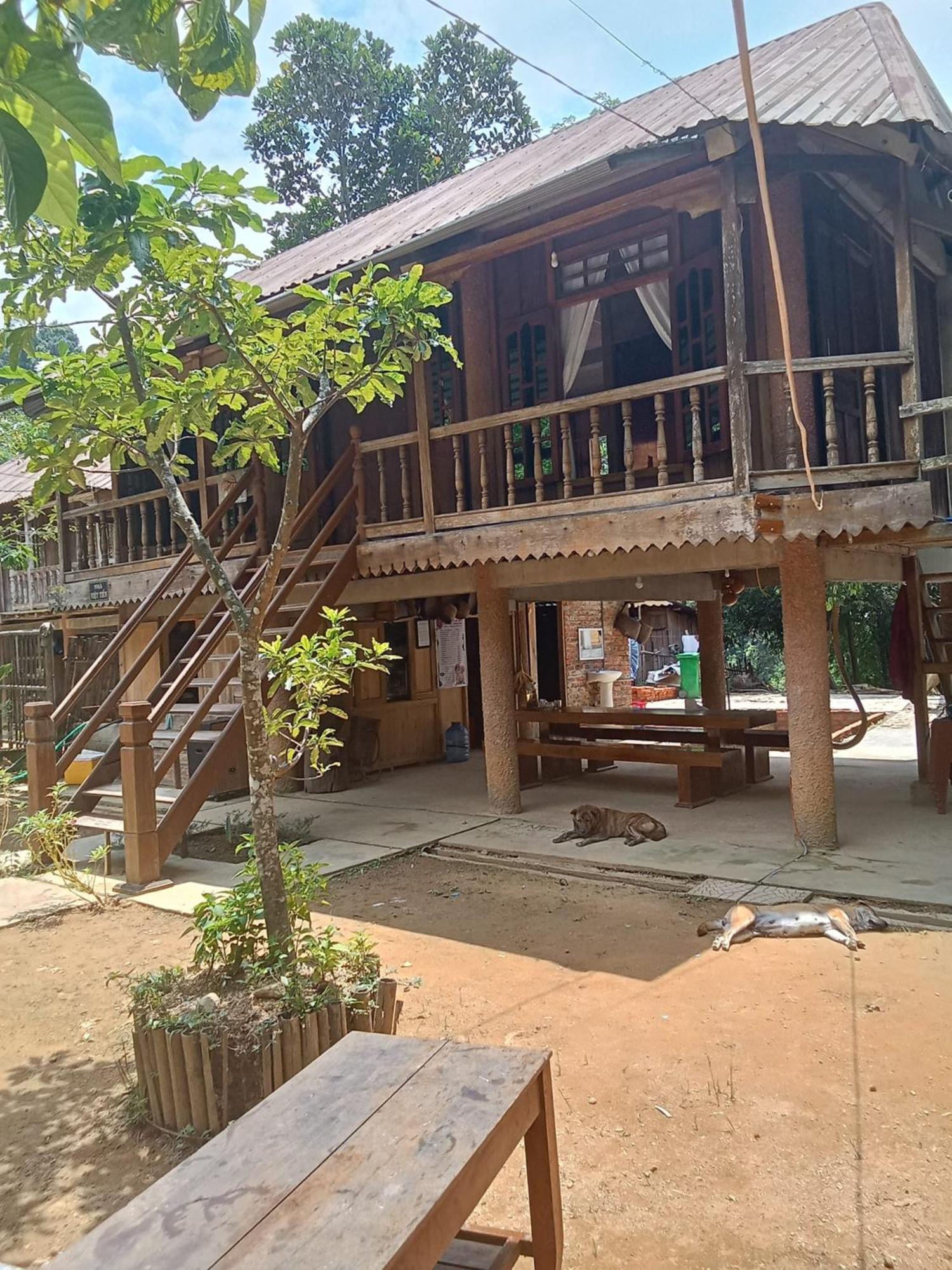 Homestay Ho Son - Thac Anor A Luoi エクステリア 写真